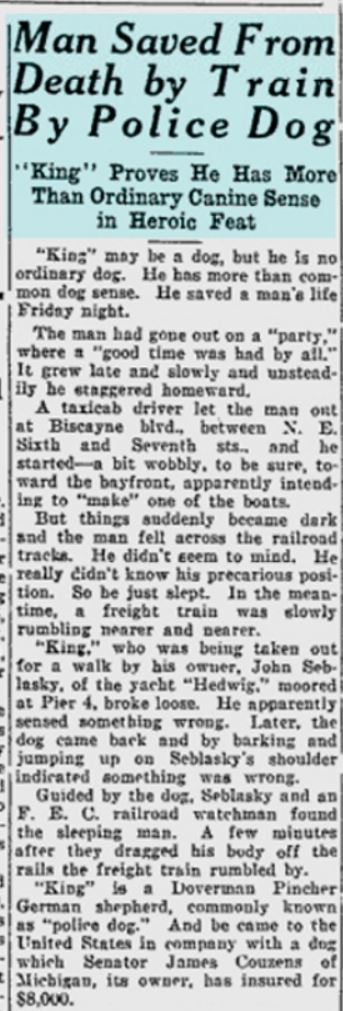Miami Daily News Article 12 June 1927, John Seblasky and his dog, King, rescue man on railroad tracks